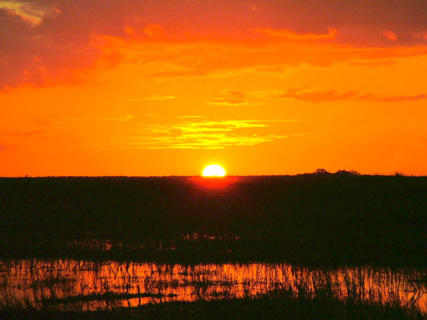 Coopertown Everglades Airboats